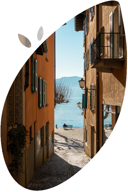 subascona informazioni subascona cerca e trova